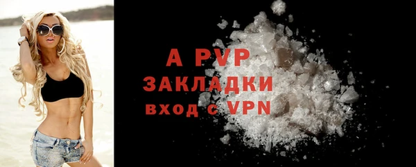 ГАЛЛЮЦИНОГЕННЫЕ ГРИБЫ Галич