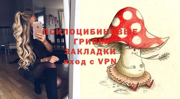 ГАЛЛЮЦИНОГЕННЫЕ ГРИБЫ Галич