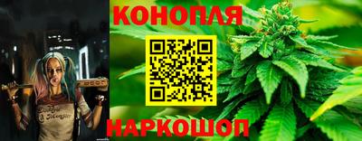 мет Кимры