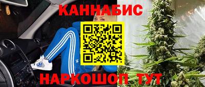 2c-b Кингисепп
