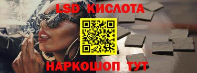 2c-b Кингисепп