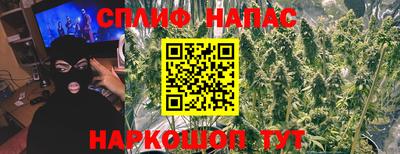 2c-b Кингисепп