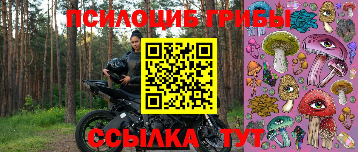 Псилоцибиновые грибы Psilocybine cubensis Костомукша